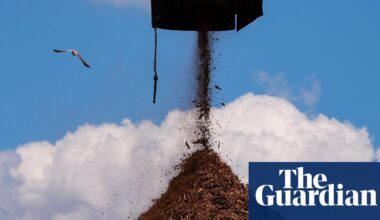 Mississippi residents sue UK-owned biomass firm granted permit for more emissions | Mississippi