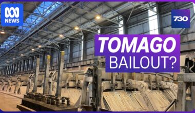 VIDEO: Tomago aluminium smelter may close due to cost of energy - Australian Broadcasting Corporation
