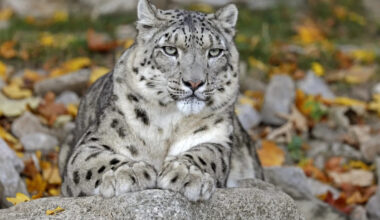 Yahoo lifestyle home