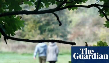 UK campaigners launch bill to give nature legal rights | Environment