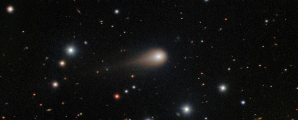 3I/ATLAS with its tail, which could eventually be directly detected by Europa Clipper or Hera. Credit - International Gemini Observatory/NOIRLab/NSF/AURA/Shadow the Scientist