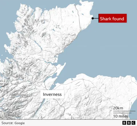 A map of the Highlands showing the locations of where the shark was found and Inverness.