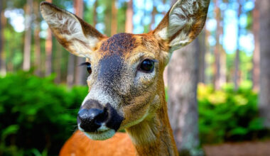 Yahoo lifestyle home