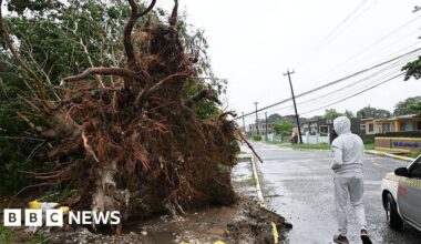 Windows blown in, trees uprooted and croc warnings
