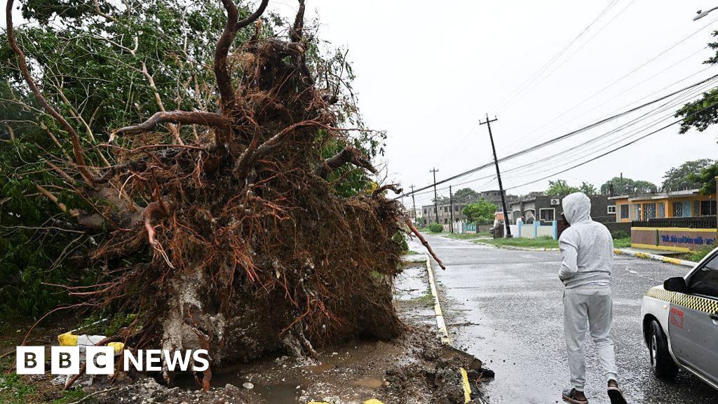 Windows blown in, trees uprooted and croc warnings