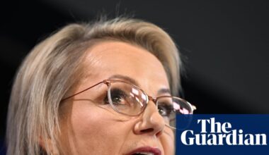Labor’s environment law revamp in jeopardy as Coalition dubs it ‘handbrake’ on investment | Australian politics