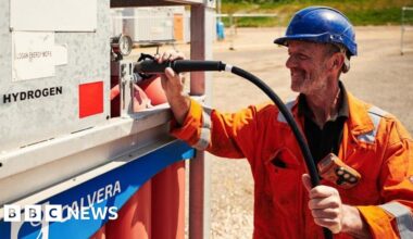 Dorset Council seeks to 'turbo charge' push for net zero