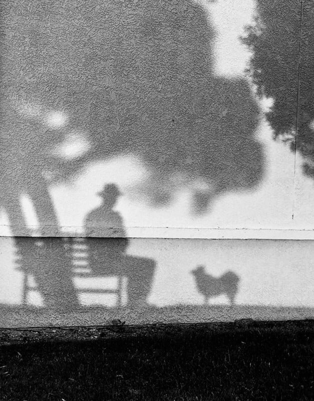 Shadow of a person wearing a hat sitting on a bench under a tree, with the shadow of a dog nearby on a textured wall. The scene is cast in black and white.