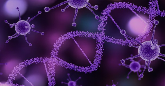 New Age | DNA holds secret to beating cancer