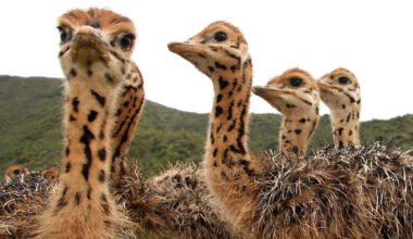 Yahoo lifestyle home