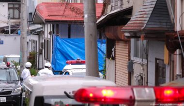 Japan governor calls for army to tackle deadly bear attacks – DW – 10/28/2025