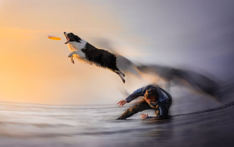 A dog leaps mid-air to catch a frisbee as a person crouches on a surfboard in the water, with a blurred, colorful background suggesting motion and energy.