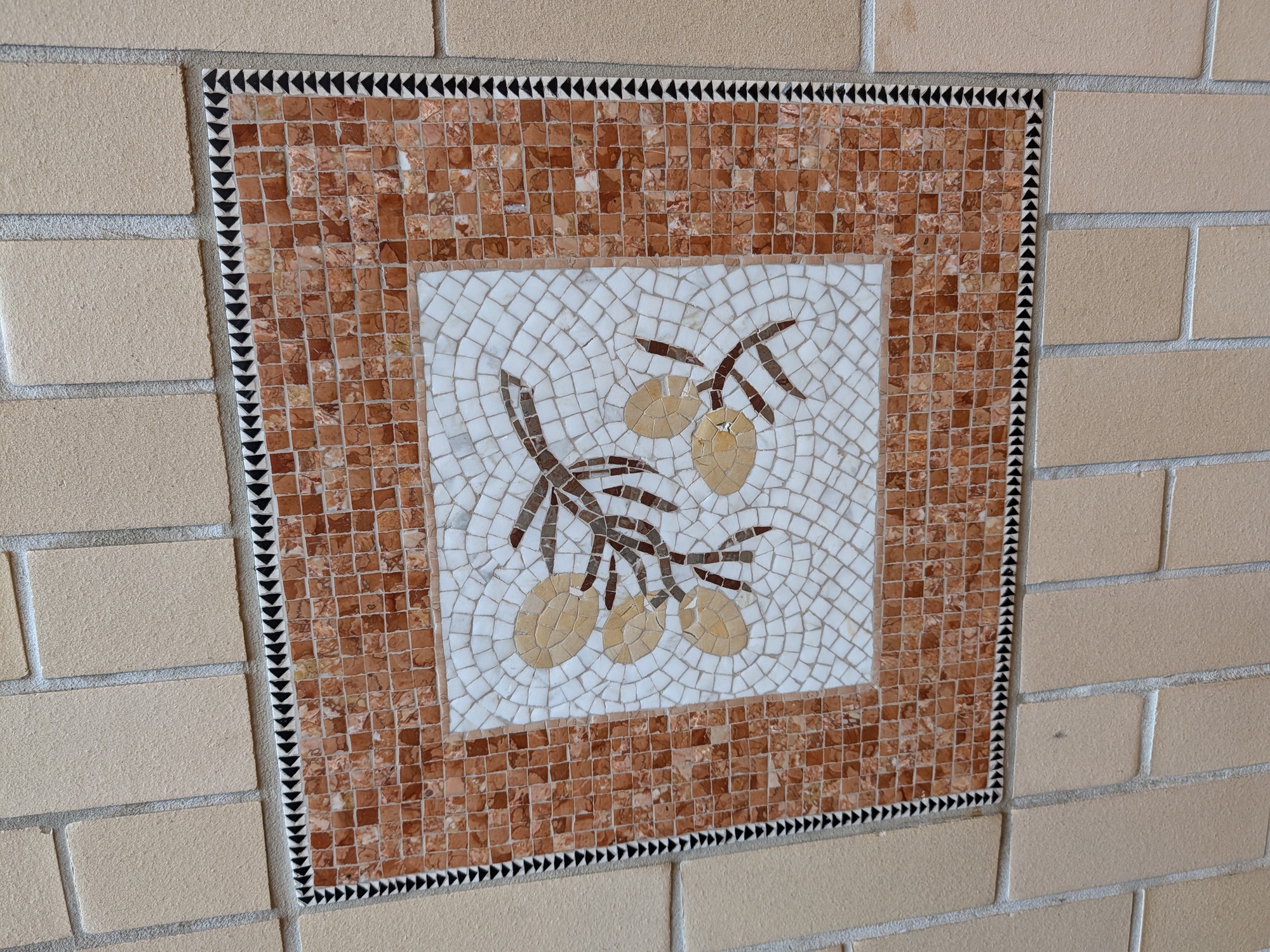 Tile shot by Pixel 10 Pro