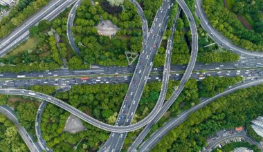 Study reveals humans move 40 times more than all wild animals combined - news.cgtn.com