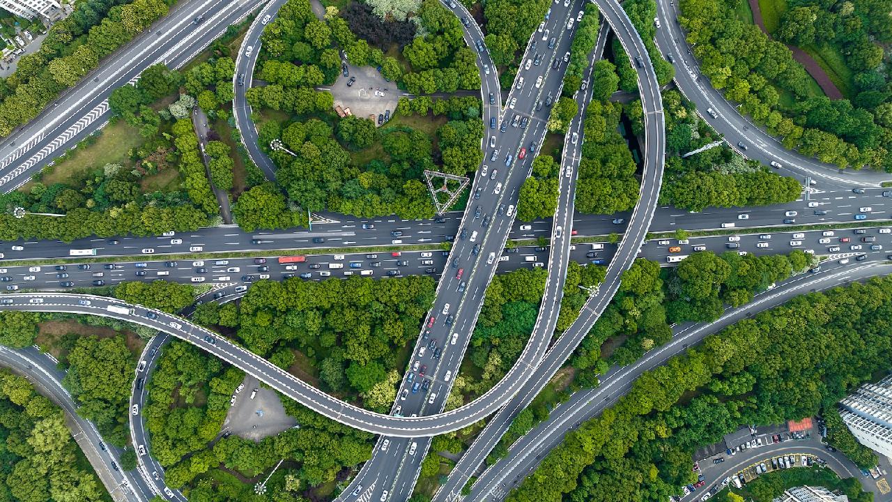 Study reveals humans move 40 times more than all wild animals combined - news.cgtn.com