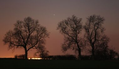 The planet Mercury appears as a point of light in the sunset sky. The glow of the setting sun is visible to the left close to the horizon as three leafless trees reach skyward.