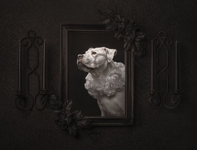 A portrait of a white dog wearing a ruffled floral collar, framed in an ornate black picture frame, is set against a dark wall with black candlestick holders and decorative flowers.