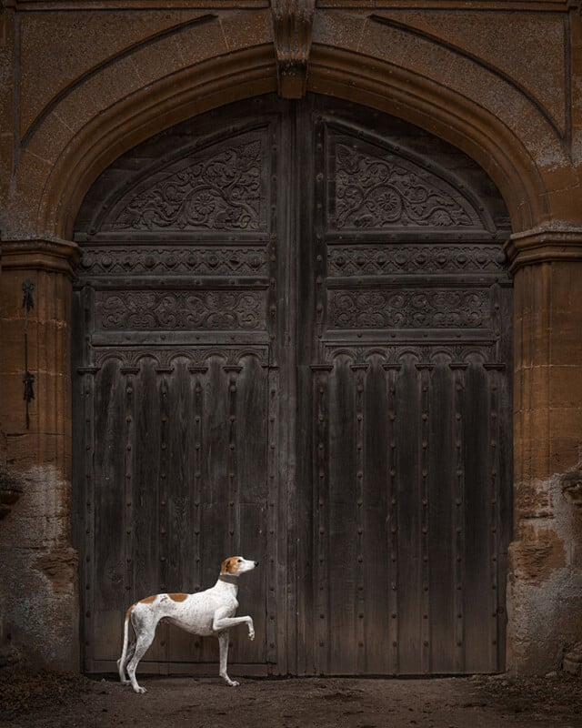 A white and brown dog stands with one paw raised in front of a large, ornate, dark wooden arched door set in a stone building. The scene is dimly lit, highlighting the size and detail of the door.