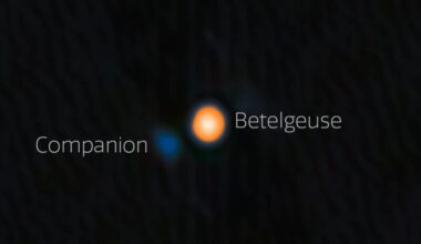 Betelbuddy: Orange glowing spherical object on black background with a smaller blue object near it, both labeled.