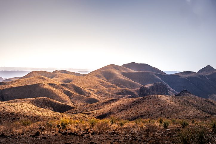 “There were hundreds crawling across the trail.” Huge, hairy animals surround hiker in Texas desert