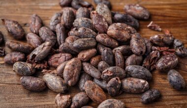 Weakness in Global Demand Weighs on Cocoa Prices