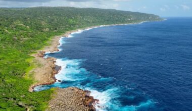 Christmas Island shrew lost forever in "one of the most mysterious of extinctions”