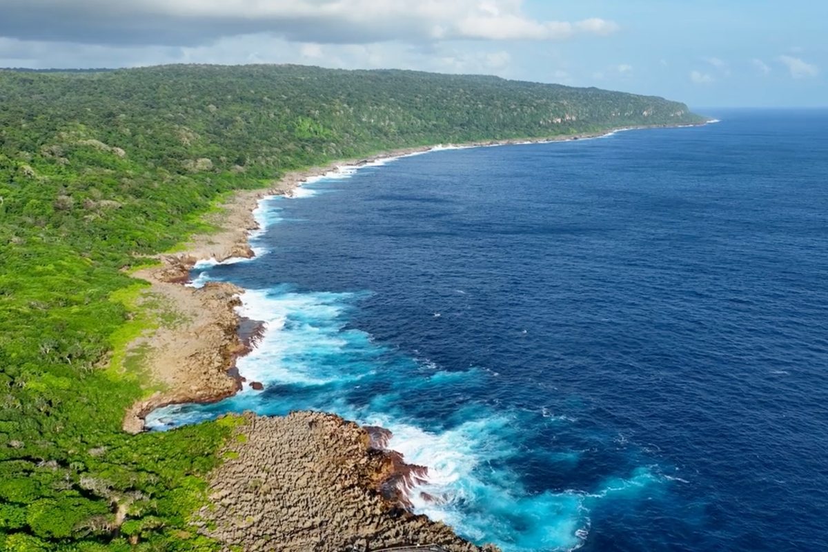 Christmas Island shrew lost forever in "one of the most mysterious of extinctions”