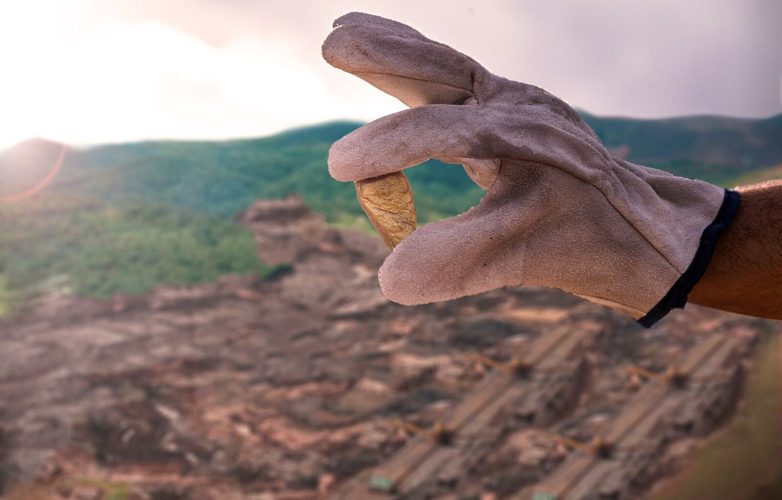 Dollar Climbs and Gold Plunges