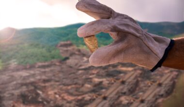 Dollar Climbs and Gold Plunges