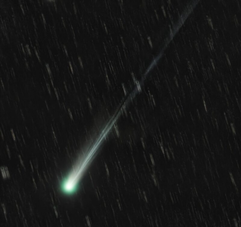 A bright green fuzzy oval with a long, straight multi-stranded tail reaching to the upper right.