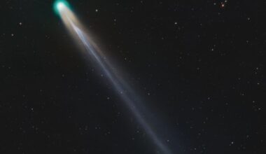 A comet with a green head and intricate tail with a distant spiral galaxy small at the top.