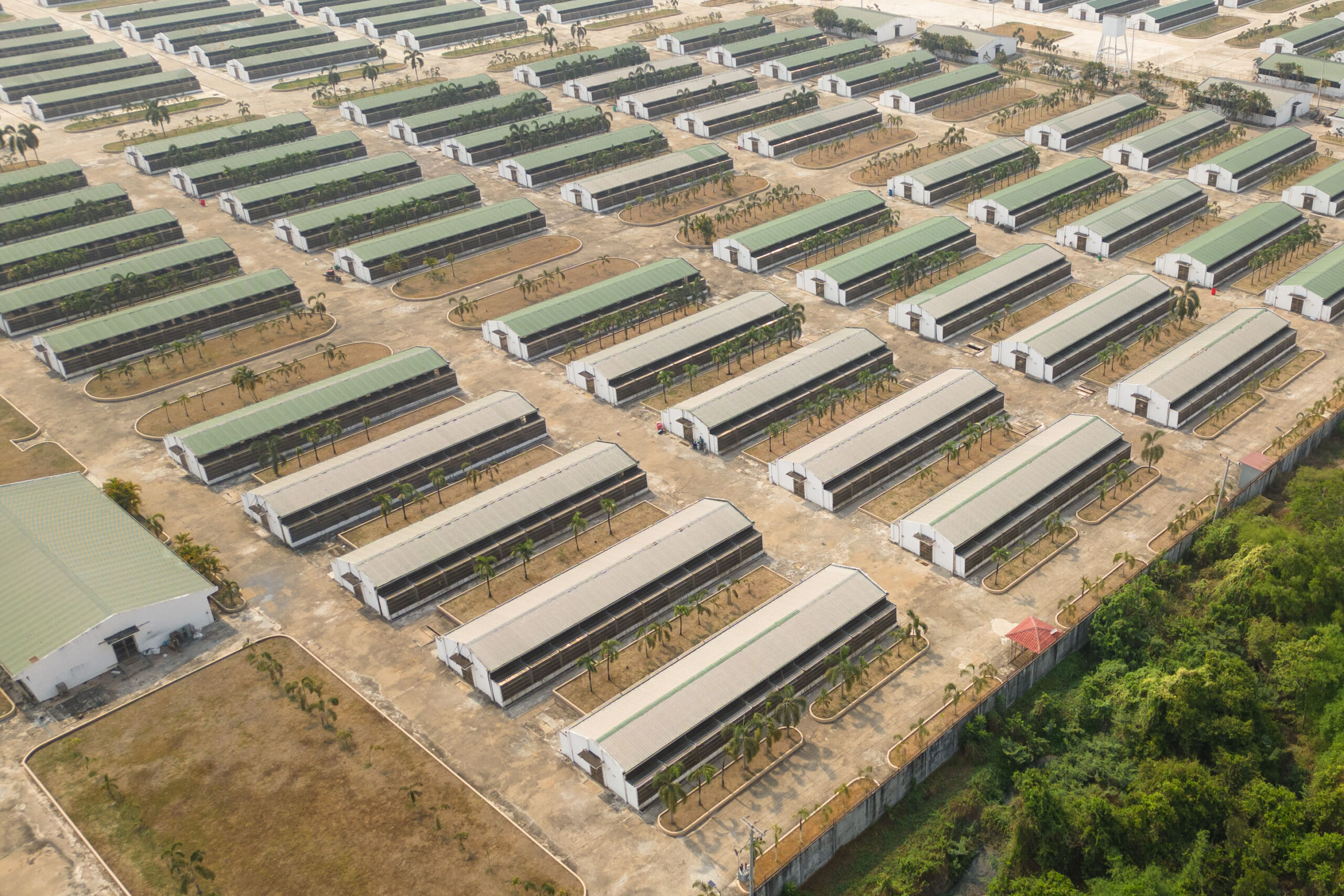 Reporters visited a long-tailed macaque breeding facility in Pursat province. The farm is owned by Vanny Bio, one of the companies indicted by U.S. federal prosecutors. Image by Gerald Flynn / Mongabay.