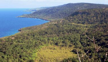 Christmas Island shrew officially declared extinct: IUCN