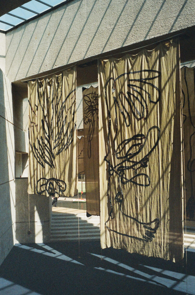 Two large tan fabric panels with abstract black line drawings hang in a sunlit indoor space, casting shadows on the floor and walls.