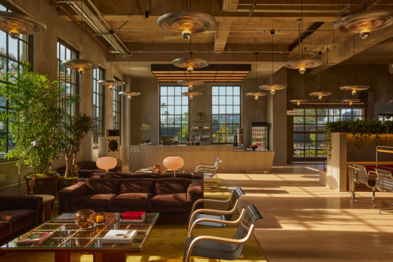 Modern, sunlit lounge area with large windows, brown sofas, wooden chairs, indoor plants, and a reception desk in the background. Industrial ceiling and decorative lighting fixtures overhead.