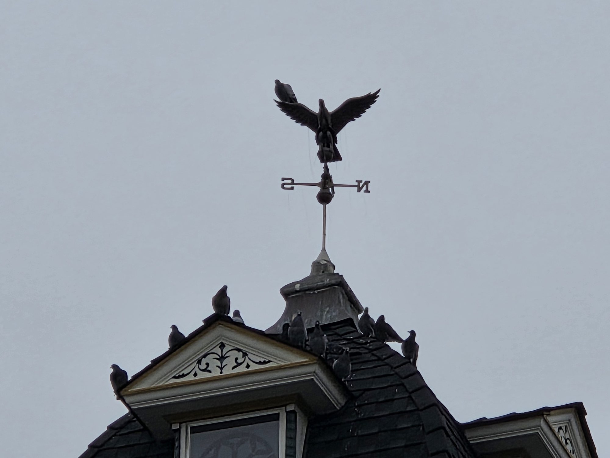 Weather Vane by Galaxy S25 Plus