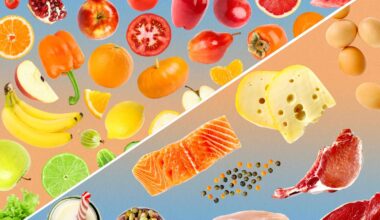 Fiber vs. Protein: Which Should You Prioritize?