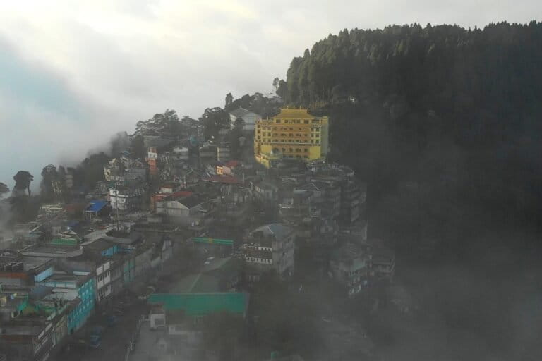 An aerial view of Sukhia Pokhri town and surrounding forests, which were once barren. Rampant firewood collection had stripped the tree cover. A subsequent shift to LPG and electricity allowed the forests to regenerate, and wildlife to return. Image by Aditya Rai.
