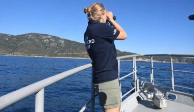 Marine scientist surveying vaquitas