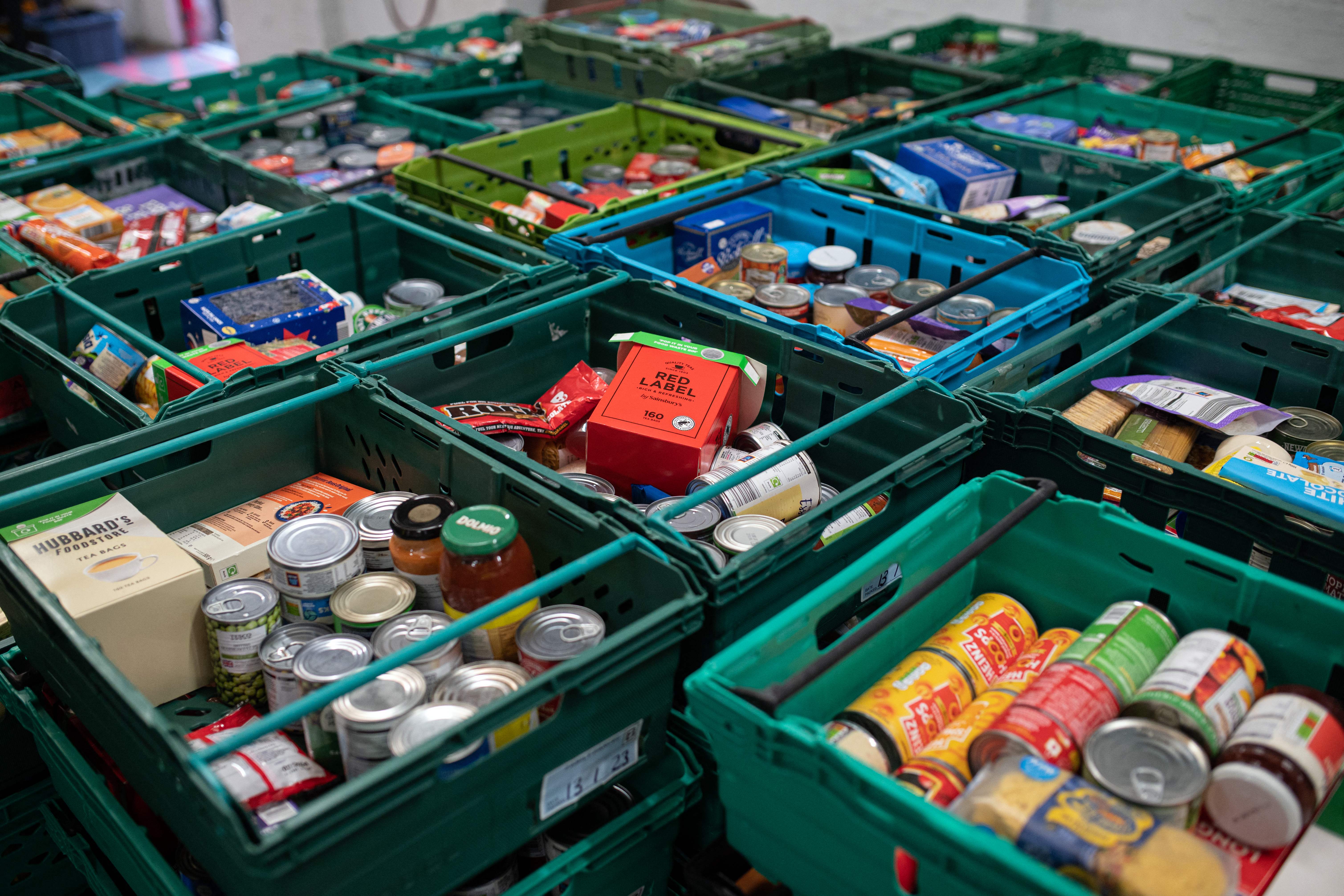 ‘Having to direct families to food banks is a much deeper systemic issue than just short-term food insecurity,’ says one expert