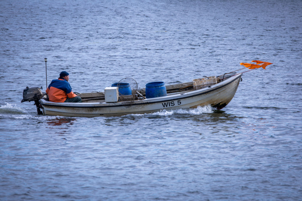 Russia, seals, and cormorants caught in EU Baltic blame game over depleted fish stocks