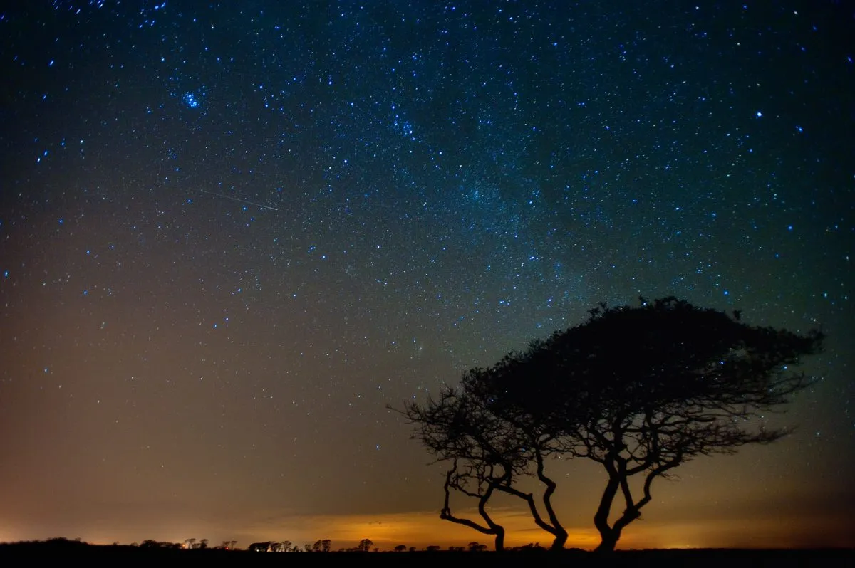 An Orionid meteor appears over Nantucket, US. Credit: J. Greg Hinson, MD, www.ackdoc.com / Getty Images