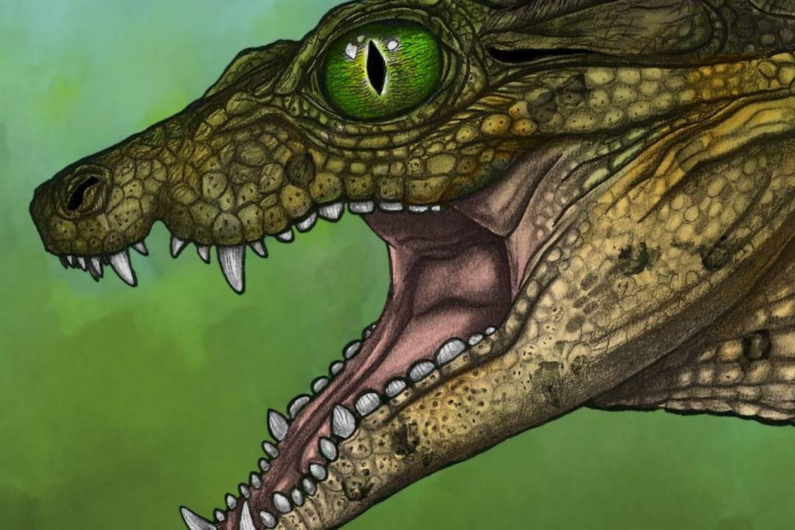 A Plant-Eating Croc? Newly Identified Species Demonstrates Crocodilian Versatility