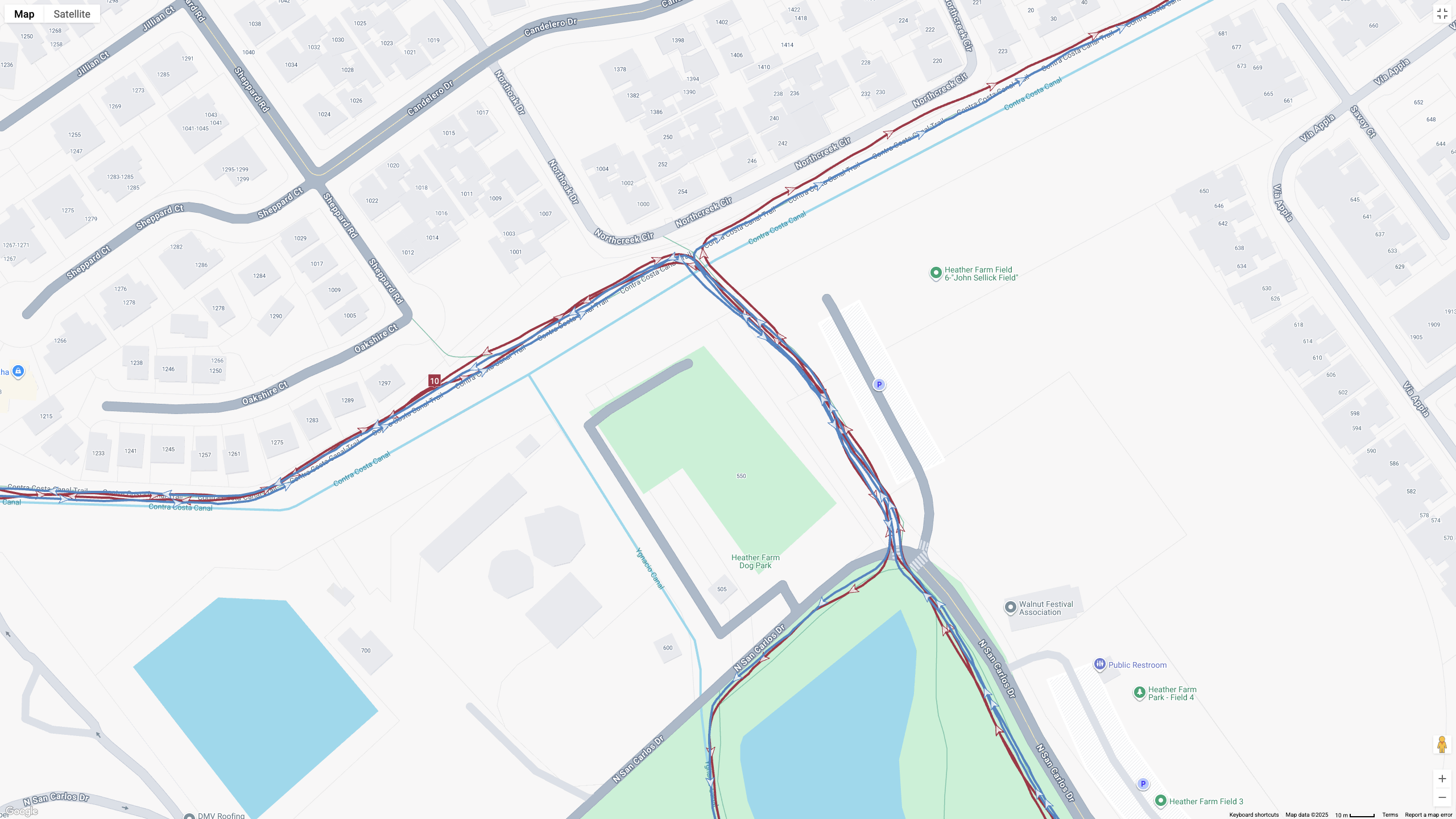 A Google Maps view of GPS run data from the Google Pixel Watch 4 (red) and Garmin Forerunner 970 (blue).