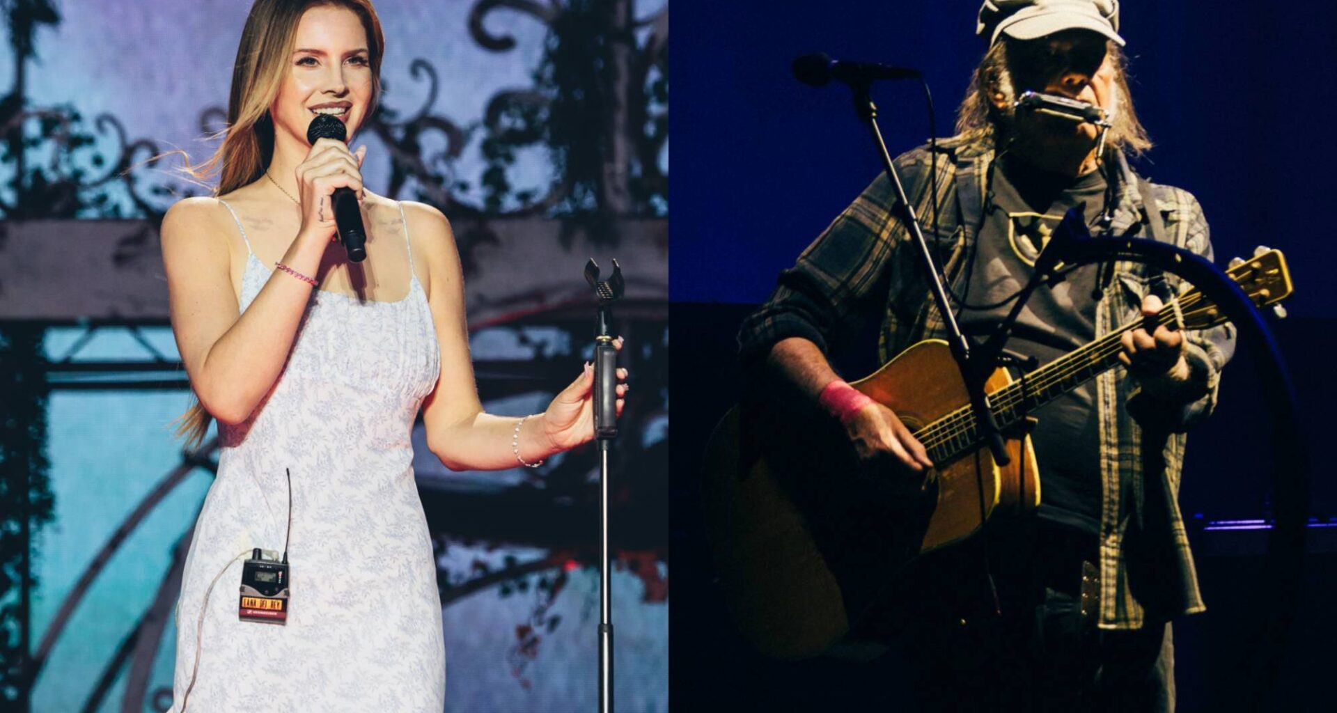 Watch Lana Del Rey cover Neil Young's 'The Needle and the Damage Done'
