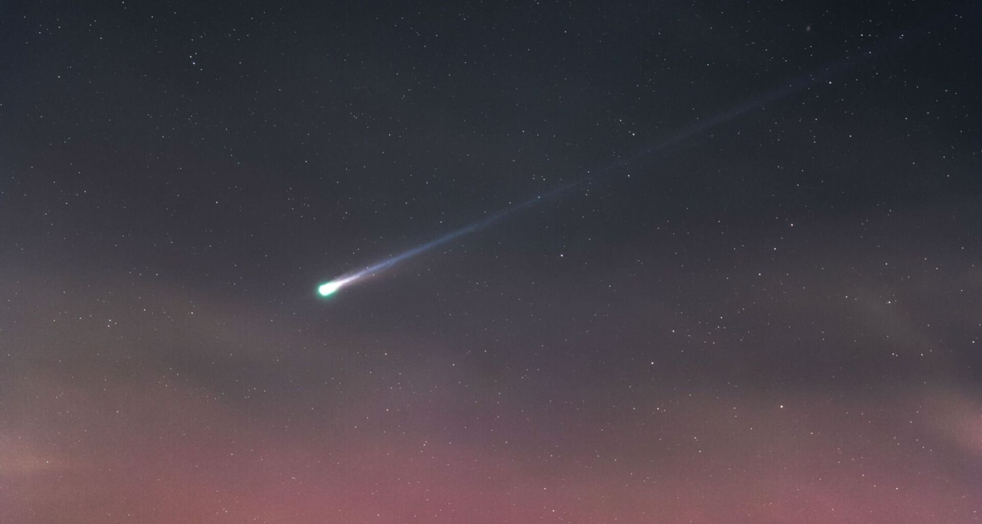 A bright comet with a long tail is pictured against a starry sky above rolling grassy hills. Shrubs are visible and an outcrop of trees are silhouetted against a pink glow in the sky close to the horizon.