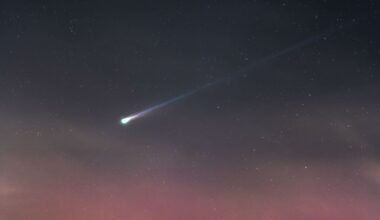 A bright comet with a long tail is pictured against a starry sky above rolling grassy hills. Shrubs are visible and an outcrop of trees are silhouetted against a pink glow in the sky close to the horizon.