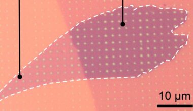 Coating increases photon precision for quantum computers