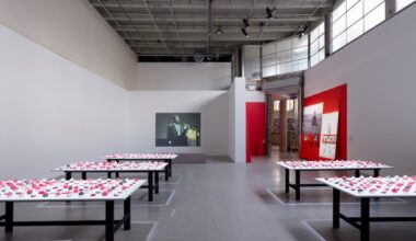 Palais de Tokyo Removes 'Illegal' Cameron Rowland Martinican Flag Work