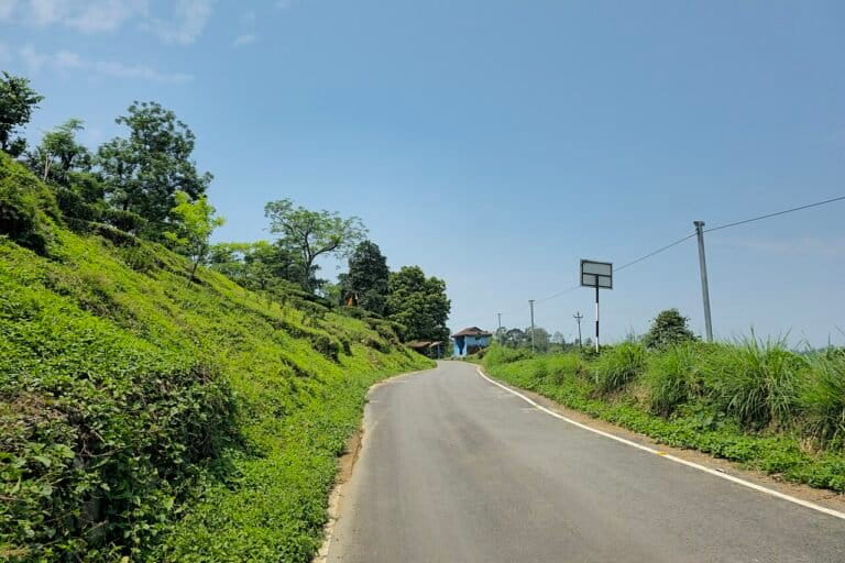 A road in Darjeeling. Leopard sightings are not limited to Sukhia Pokhri — across the Darjeeling hills, drivers and pedestrians have been sharing information about sightings. There have also been reports of tea garden workers being mauled by leopards. Image by Ganesh Mohan T. via Wikimedia Commons (CC BY-SA 4.0).